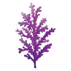 Marine Plants Under The Sea Clip art Element Transparent Background