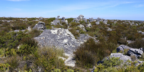 Fototapeta na wymiar Rock formation, Table Mountain top, Cape Town, South Africa