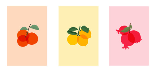 Pomegranate, Lemon, and Orange vector illustration art design for graphic elements for fabric, textiles, clothing, wrapping paper, wallpaper, and posters.