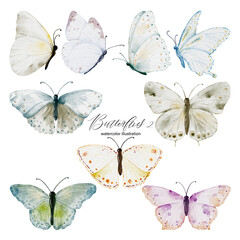 Set of watercolor soft earth tones butterflies collection