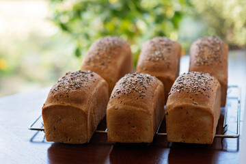 Homemade freshly baked white grain bread on a baking rack against a background of summer green leaves. Soft selective focus.