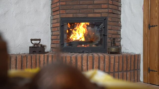 tiny house design,fireplace