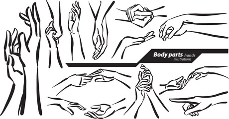 Naklejka na ściany i meble body parts hands doodle design drawing vector illustration