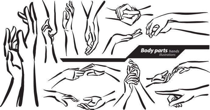 body parts hands doodle design drawing vector illustration