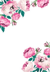 Peonies. Vertical frame from pink elegant flowers. Vector decoration.