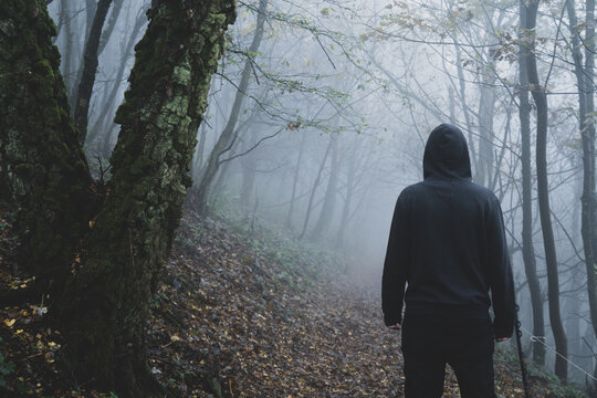A spooky, hooded figure, back to camera. Standing in a forest on a eerie foggy winters day. With trees silhouetted against the fog.
