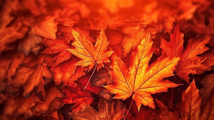 autumn leaves background