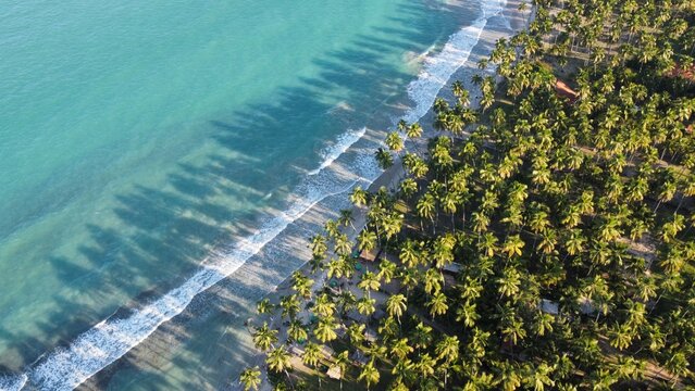 Praia dos Carneiros
