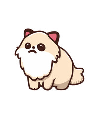 Long hair Cute white cat kitty cartoon