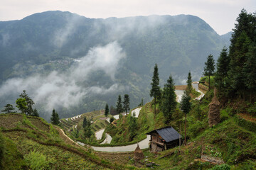 landscape of terrace fields, forest and villages in fog and clouds