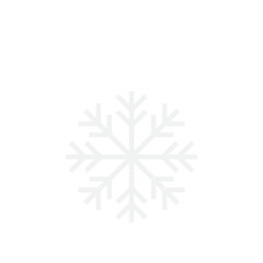 neon light christmas ball