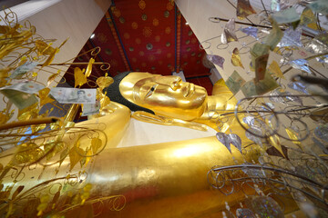 This is the largest golden reclining Buddha image in Thailand. At Wat Phra Non Chak Si Worawiharn, Muang District, Sing Buri Province, taken on 7 May 2023