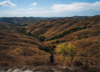Obraz premium A beautiful view of indonesian paradise at Wairinding hills at Waingapu, East Sumba, East Nusa Tenggara, Indonesia.