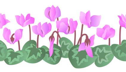 Blooming cyclamen with flowers and leaves. Vector color isolated seamless border.