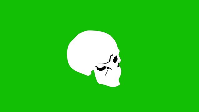 Thriller skull animation in print drawing style cartoon. Freaky Halloween background with a pointer stroke effect on the green screen background