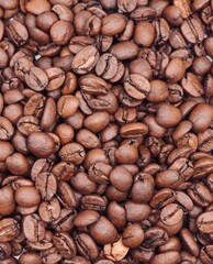 coffee beans with white background