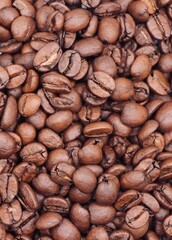 
macro photo with coffee beans