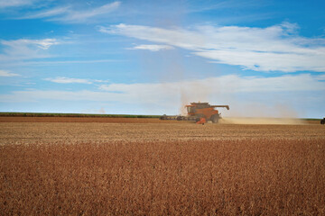 Fototapeta premium Maquina Agricola em campo de soja