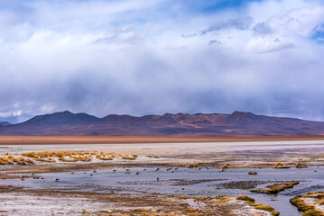 Landscape with mountain and small lagoon in the bolivian plateau