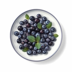 A Plate Of Fresh Blueberries On White Background Illustration