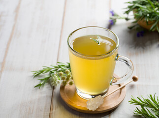 Fresh rosemary tea. Rosemary plant on the table and a cup of hot tea