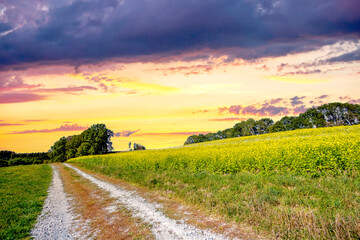 Feldweg, Wiese, Deutschland 