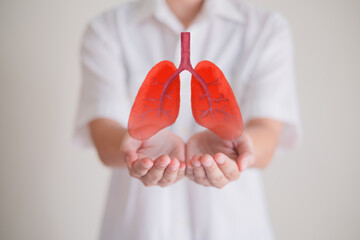 Close up of Hand's holding lung, concept of lung and organ donation or charity, hospital care, anatomy, infectious, covid, cancer, chest, smoke, asthma and breath, insurance, background - obrazy, fototapety, plakaty