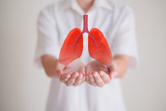 Close up of Hand's holding lung, concept of lung and organ donation or charity, hospital care, anatomy, infectious, covid, cancer, chest, smoke, asthma and breath, insurance, background
