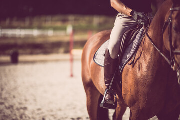 Horse rider on a parkour with his horse. Equestrian theme.