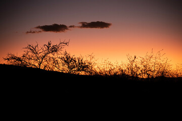 puesta de sol en contraste