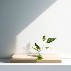 3d render, abstract background, minimal design, wood shelf with plant, shadow on the wall