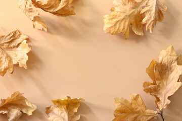 Autumn and golden oak leaves as border with sunny shadow. Fall composition on beige background. View from above. Copy space.