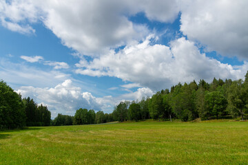 Green fields with trees and clouds in the background.