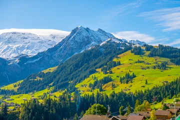 Papier Peint photo Mont Blanc Beautiful Village nearby mountain, Switzerland