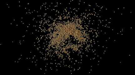 Amaranth seeds scattered, isolated on black, top view, clipping path 