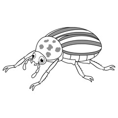 Colorado beetle cartoon line art