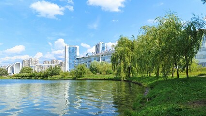 Grass and trees grow on the shores of the lake. The branches of willows lean over the water. On the shore behind the trees are houses. The wind creates ripples on the water. Sunny weather and blue sky