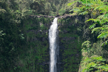 Fototapeta na wymiar Scenic jungle waterfall in Hilo Hawaii. 