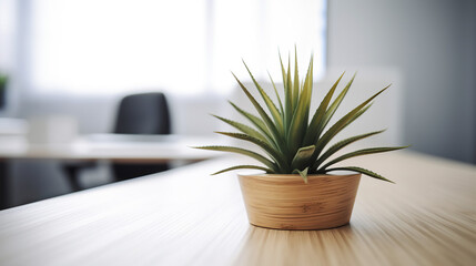 Small succulent plant pot on office desk.