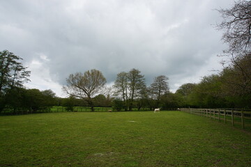 Fototapeta na wymiar Massive paddock for the horse, Suffolk farm