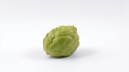 Fototapeta premium Close shot of hops on white background.