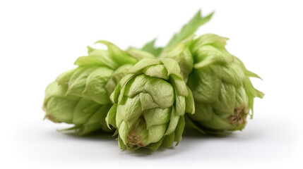 Obraz premium Close shot of hops on white background