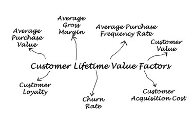 Seven Customer Lifetime Value Factors
