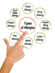 Presenting Eight Types of Allergies