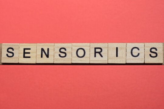 text the word sensorics from gray wooden small letters with black font on an red table
