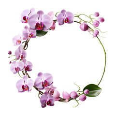Round frame of pink orchid. Floral frame. Isolated on a transparent background. KI.