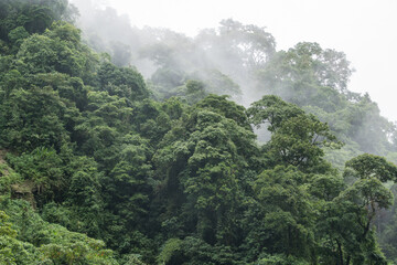 Catarata Petaponto Costa Rica