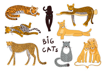 Big cats isolated collection, color. Lion, tiger, leopard, jaguar, panther, cougar, cheetah. Hand drawn vector illustration. Line art style design. Animal characters, wildlife clipart elements