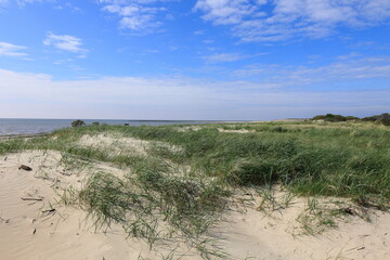 Blick über eine Düne auf der Insel Borkum auf die Nordsee