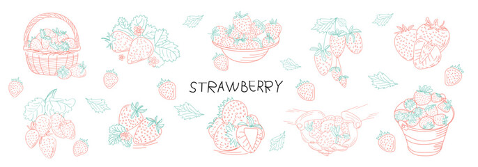 Drawing of wild berries. Hand drawn vintage vector frame. Summer fruit set of strawberries. Detailed organic food template for menu, jam label, tea banner